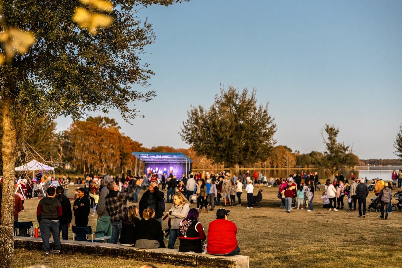 Event security managing a large crowd